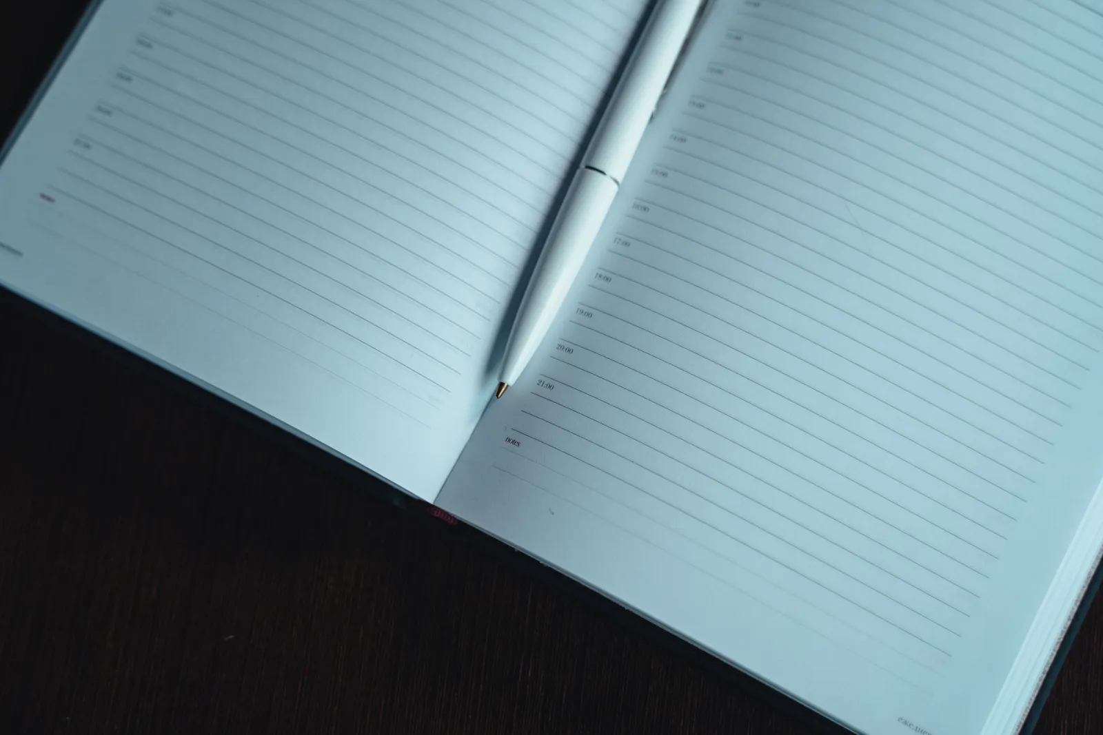 A neatly lined open notebook with a white pen on a dark wooden table, ready for notes