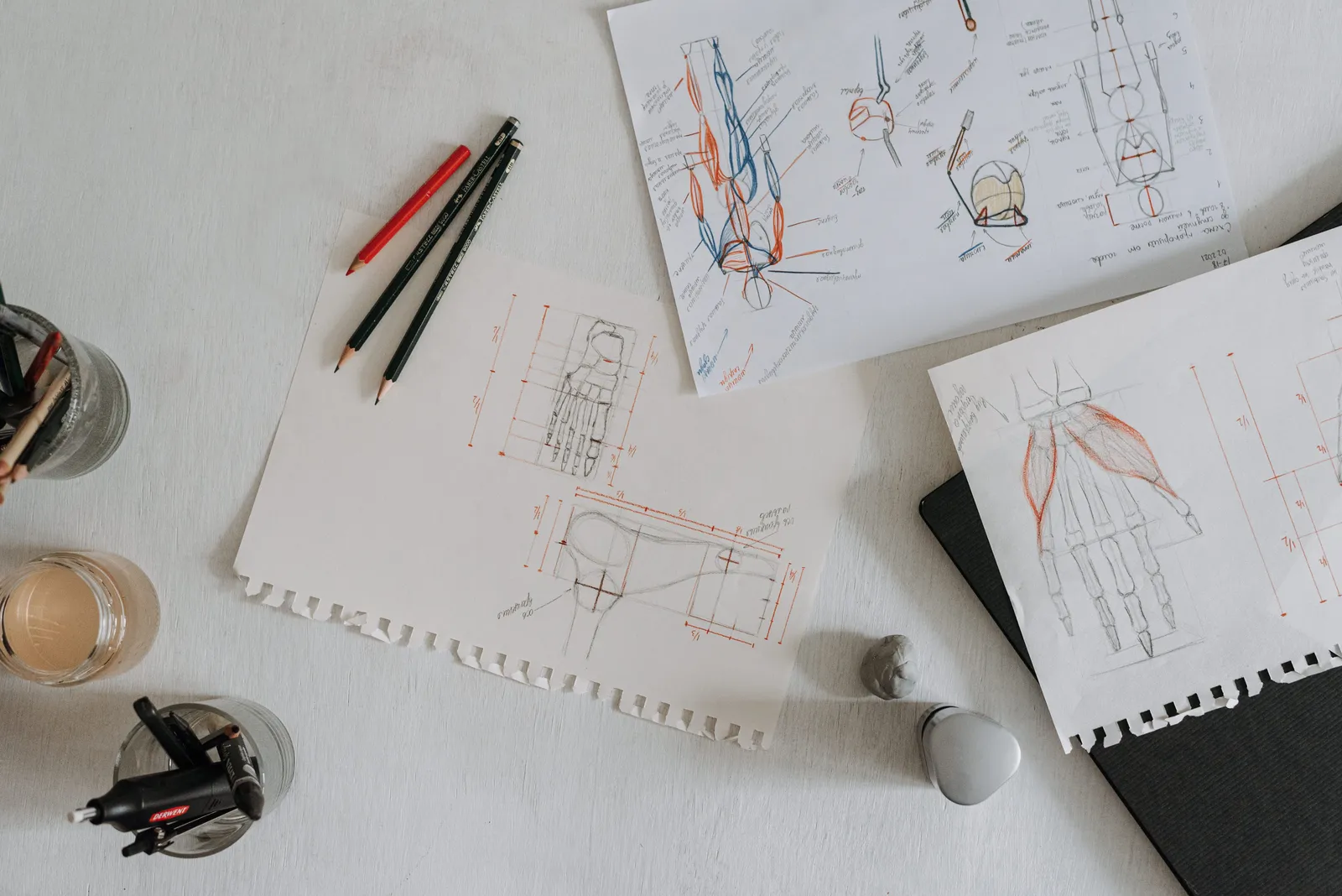 Top view of anatomical sketches with drawing tools on a desk, showcasing artistic process