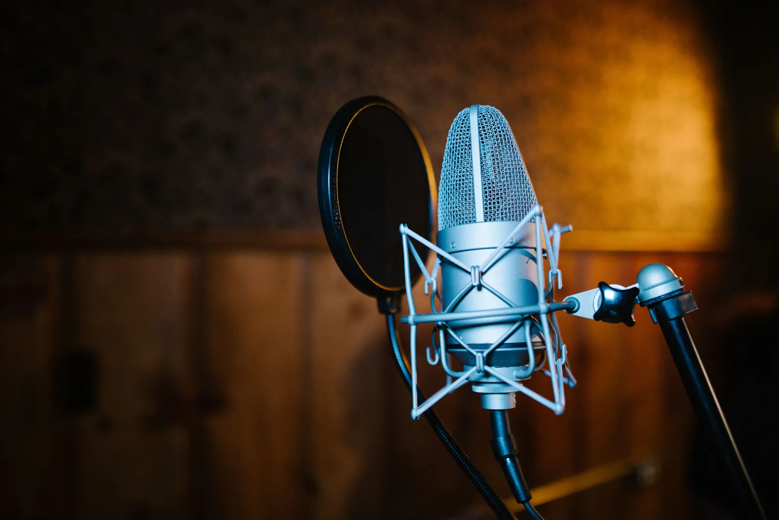 Close-up view of a professional microphone and pop filter setup in a recording studio, perfect for audio and music recording