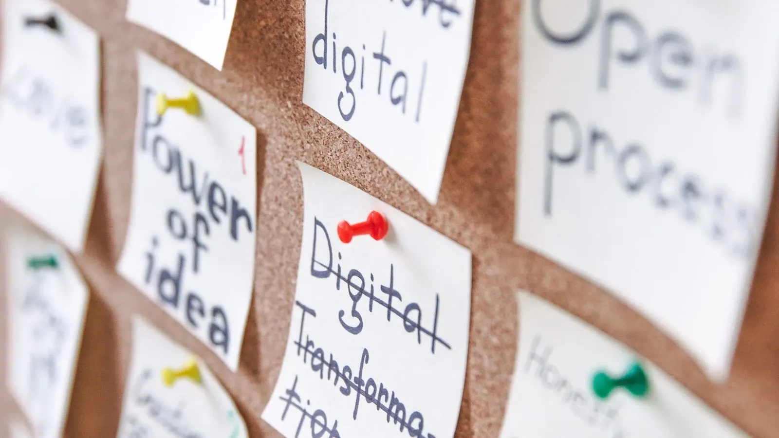 Notes arranged on a board to plan ideas and next steps