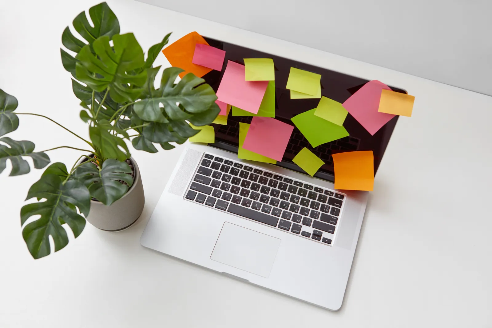 Top view of a desk featuring a laptop covered with sticky notes and a potted plant for productivity and planning